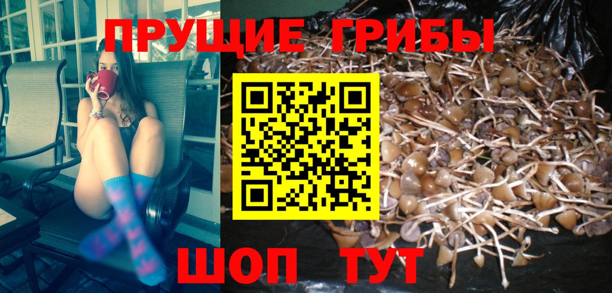 Галлюциногенные грибы мицелий Лениногорск